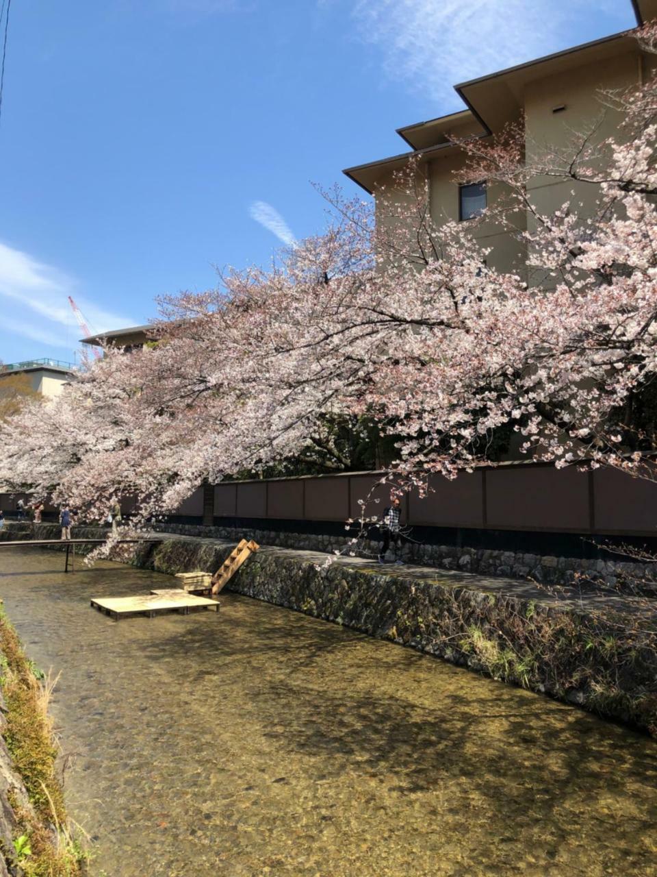 Rinn Heian Shirakawa Kyoto Eksteriør bilde