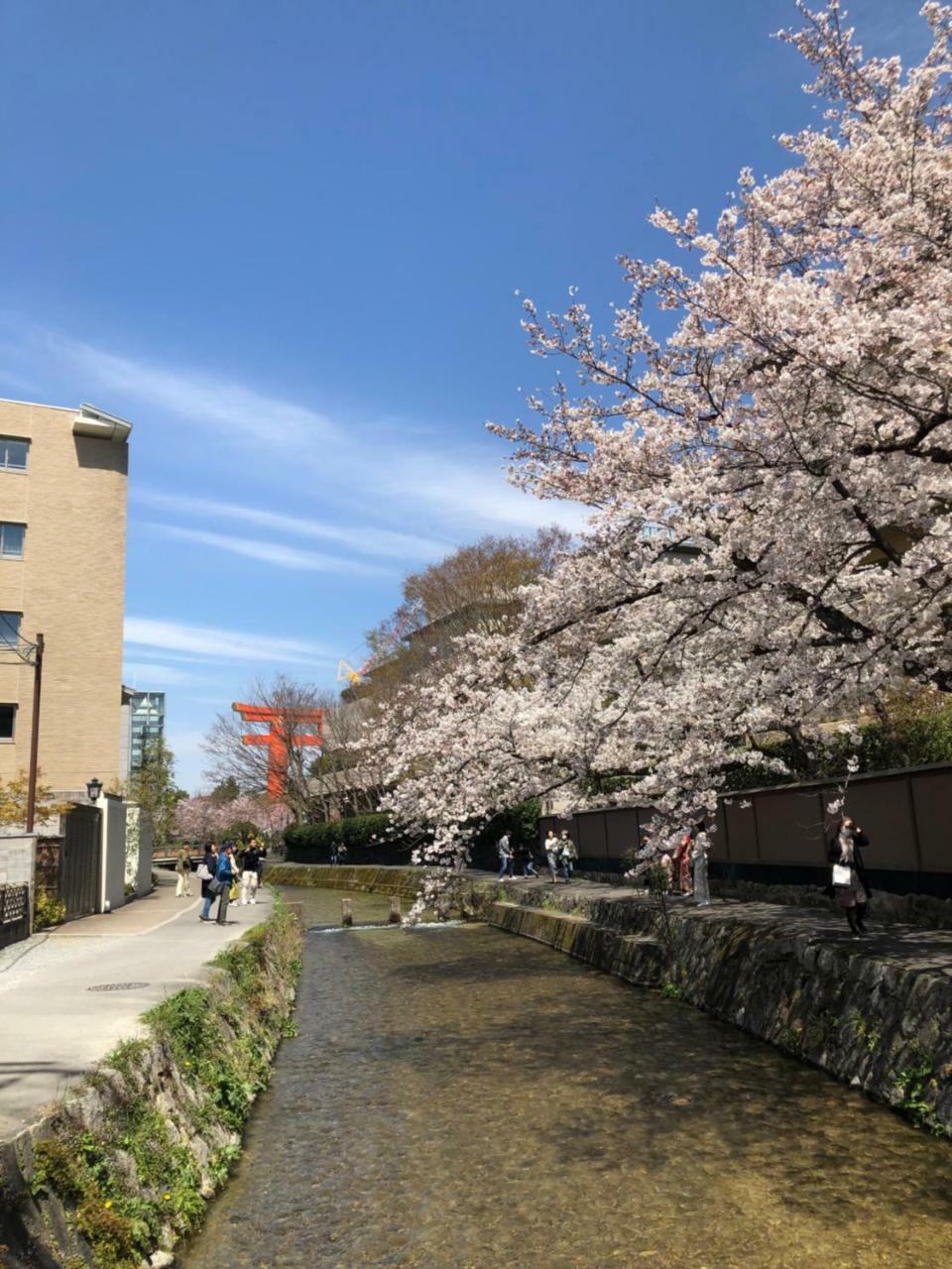 Rinn Heian Shirakawa Kyoto Eksteriør bilde